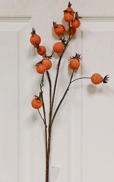 Rosehip Spray Orange