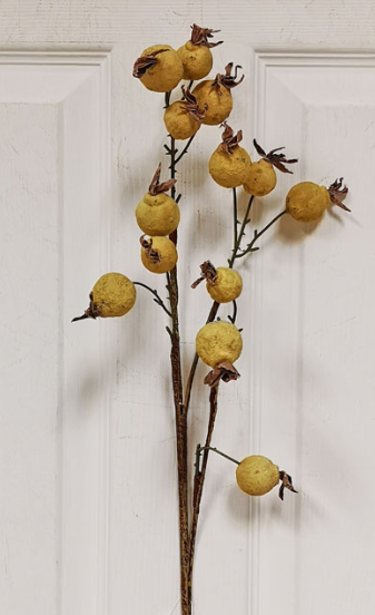 Rosehip Spray Yellow