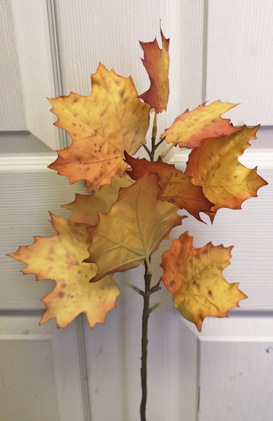 Maple Leaf Yellow Stem