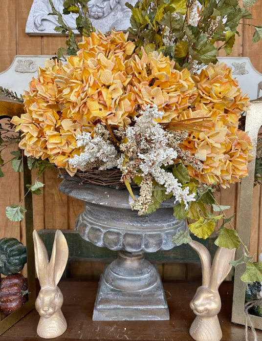 Meadowlands Hydrangea Orange