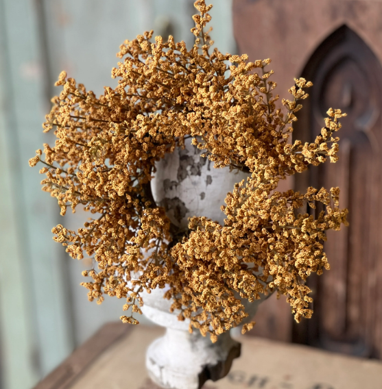 Astilbe Candle Ring Mustard