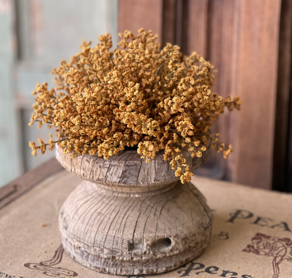 Astilbe Half Sphere Mustard